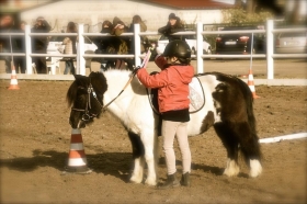 DAMA - PEGASO PONY CLUB SSD A RL