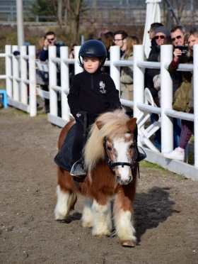 TOBIA - PEGASO PONY CLUB SSD A RL